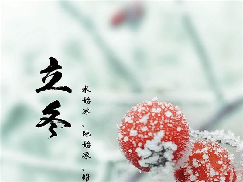 今日立冬  晚来天欲雪，能饮一杯无？